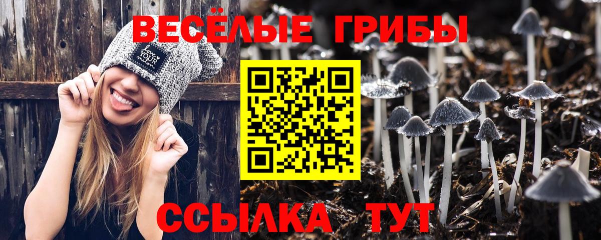 Чехов  Псилоцибиновые грибы Magic Shrooms  сколько стоит  Вход с VPN 