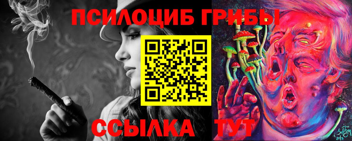 Псилоцибиновые грибы Cubensis Чехов